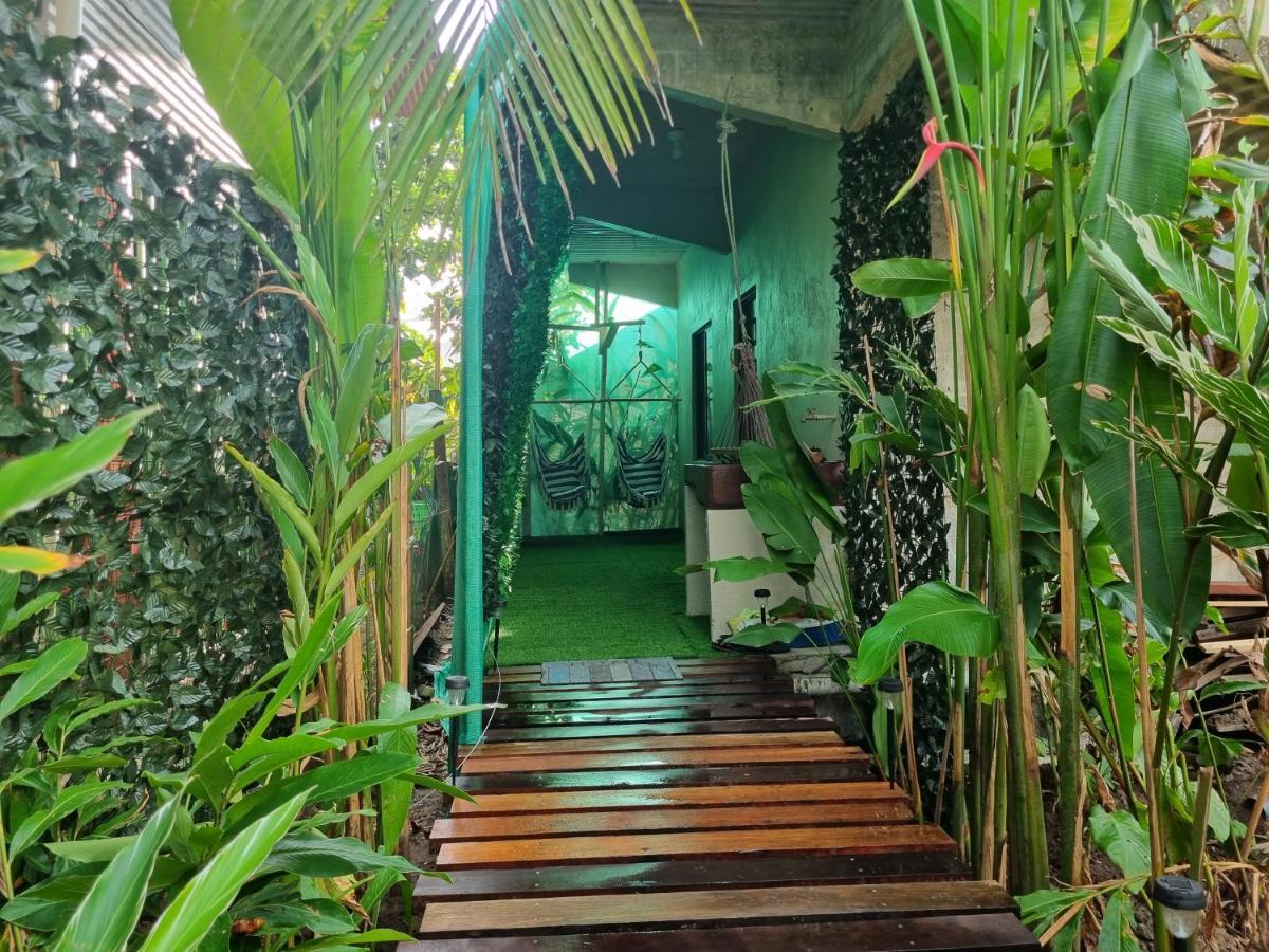 Wildlife Art Tortuguero Hotel Kültér fotó