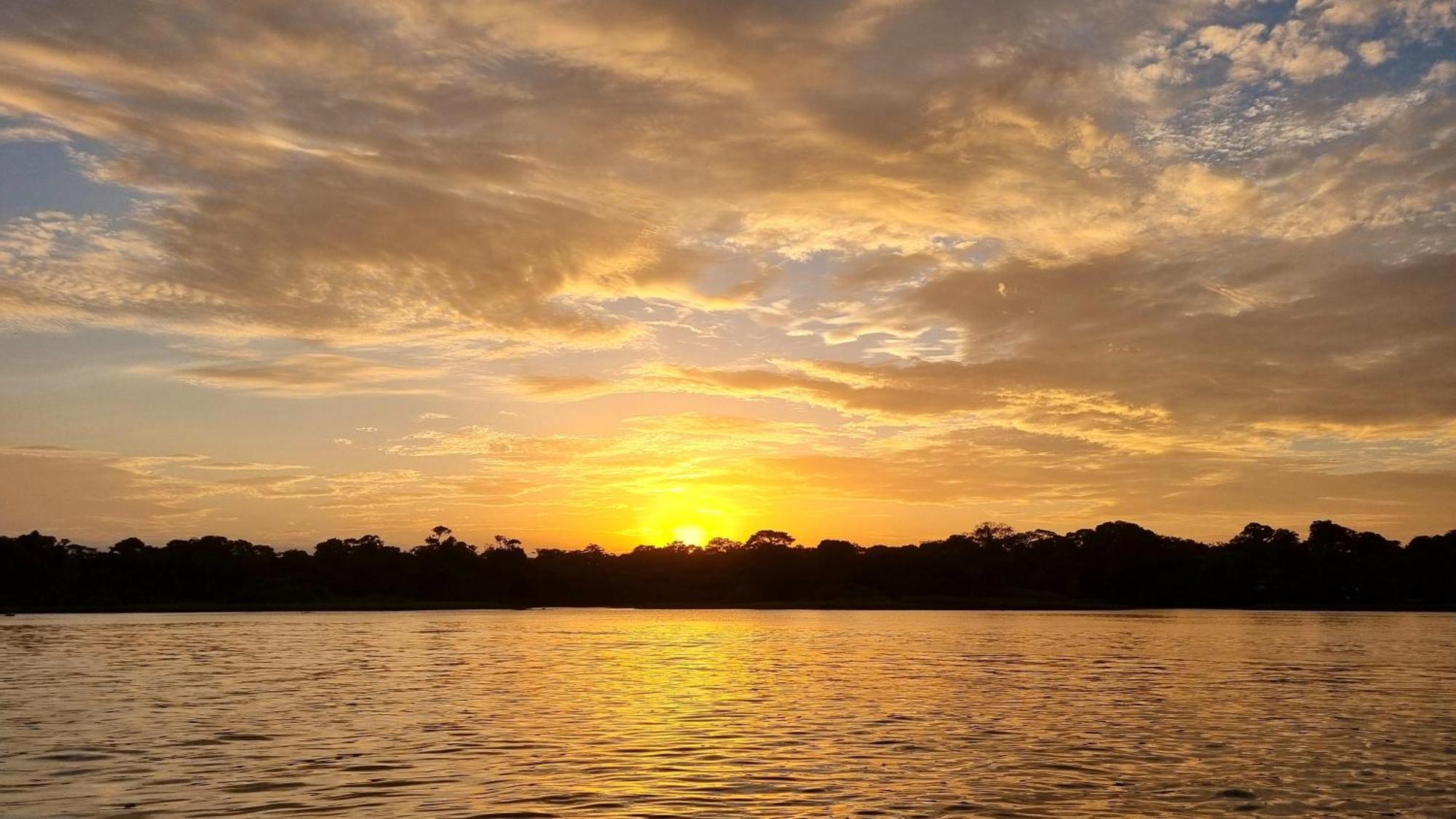 Wildlife Art Tortuguero Hotel Kültér fotó