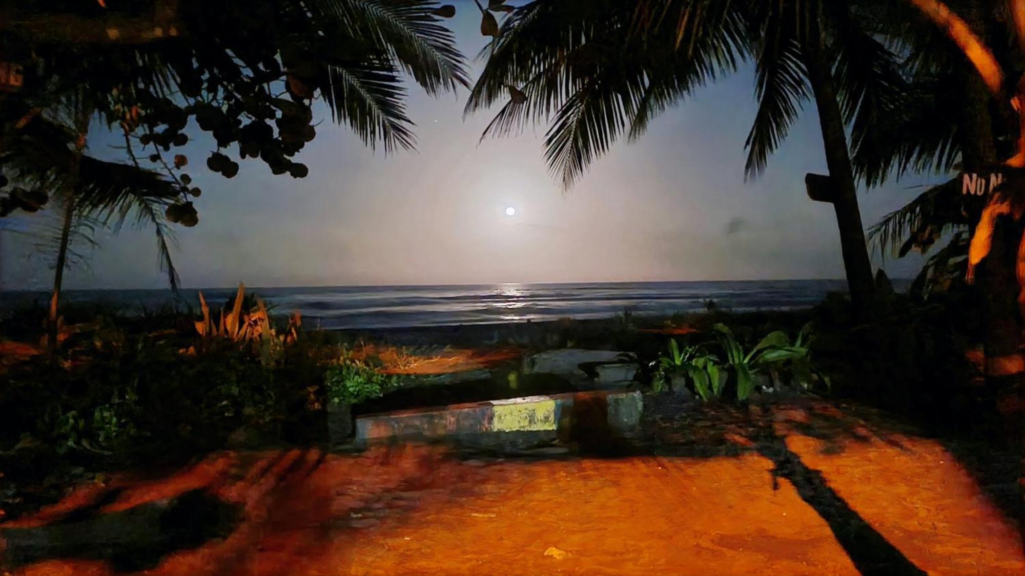 Wildlife Art Tortuguero Hotel Kültér fotó