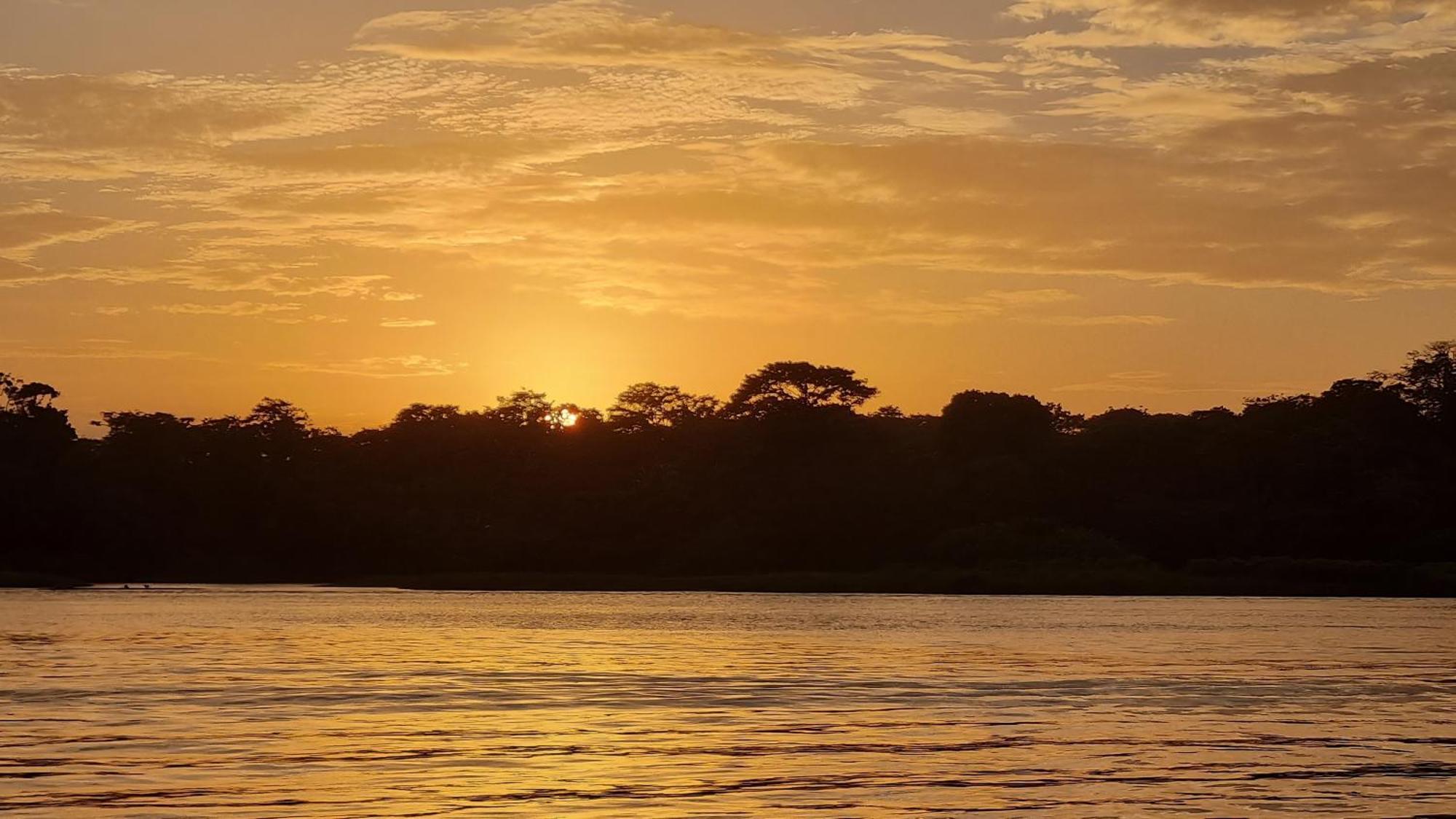 Wildlife Art Tortuguero Hotel Kültér fotó