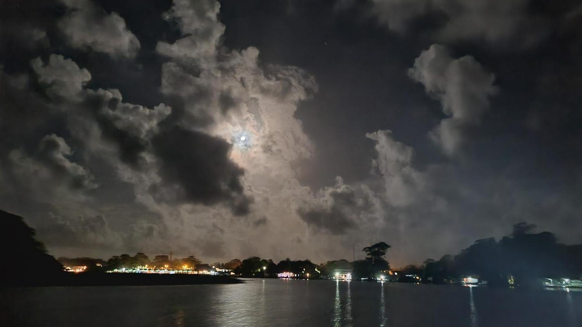 Wildlife Art Tortuguero Hotel Kültér fotó