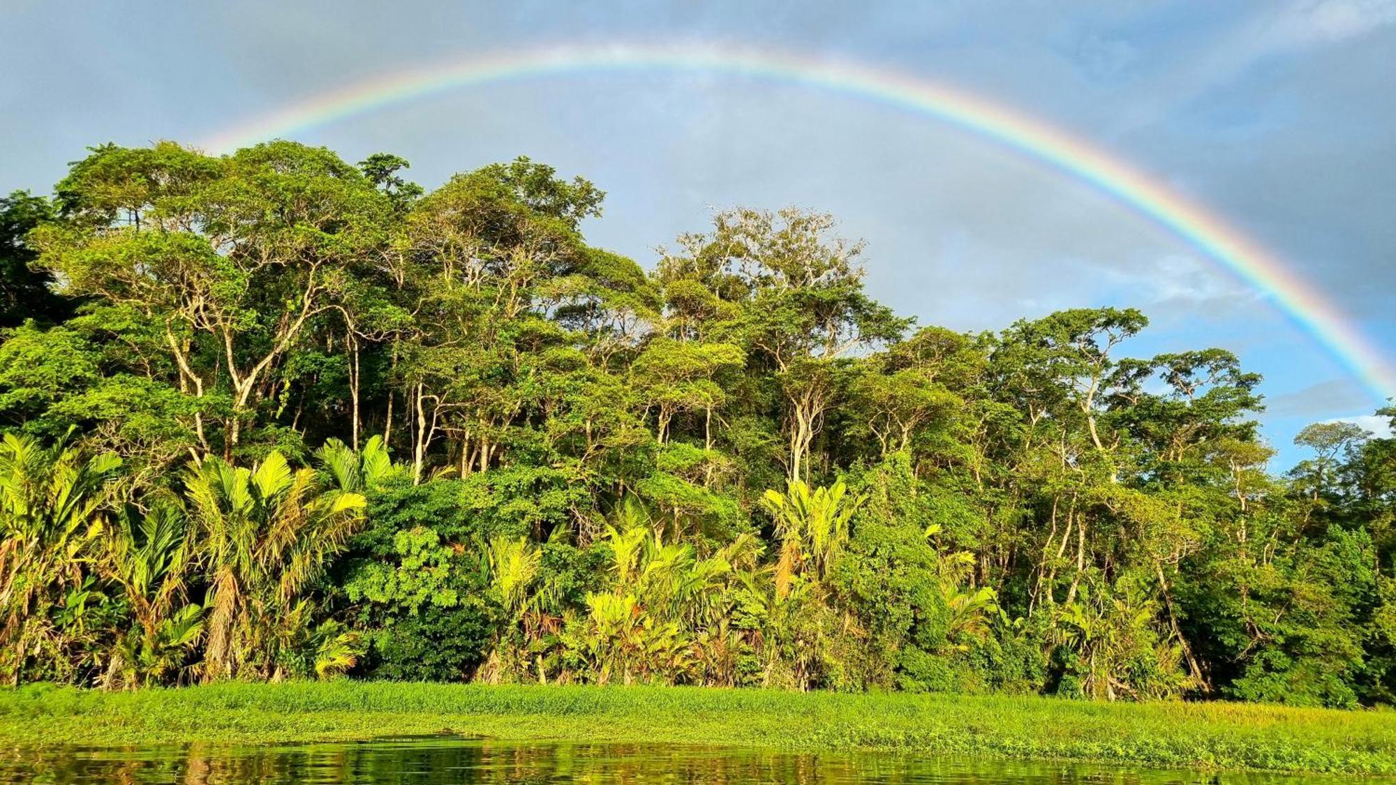 Wildlife Art Tortuguero Hotel Kültér fotó